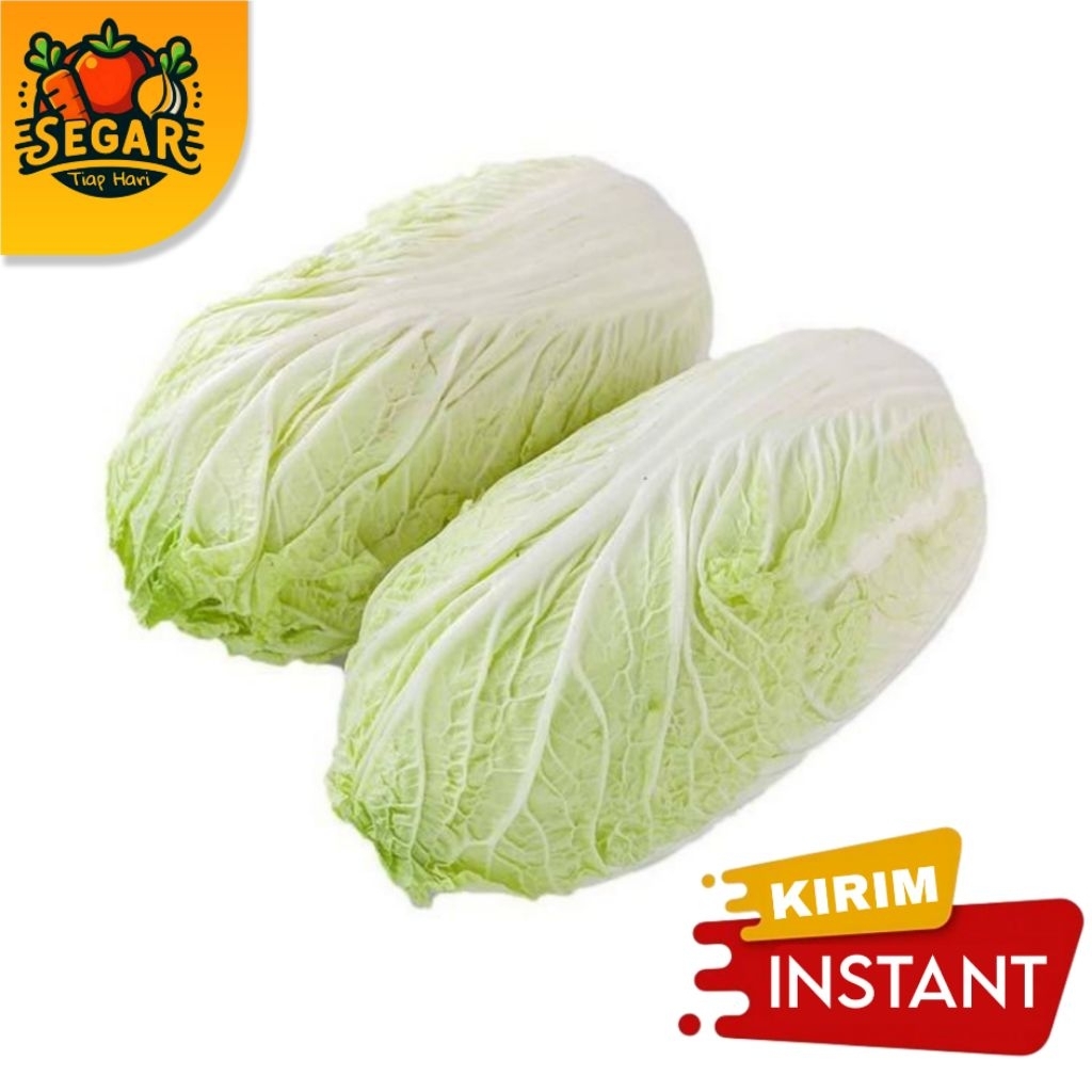 

SEGAR TIAP HARI | SAWI PUTIH - 500GR