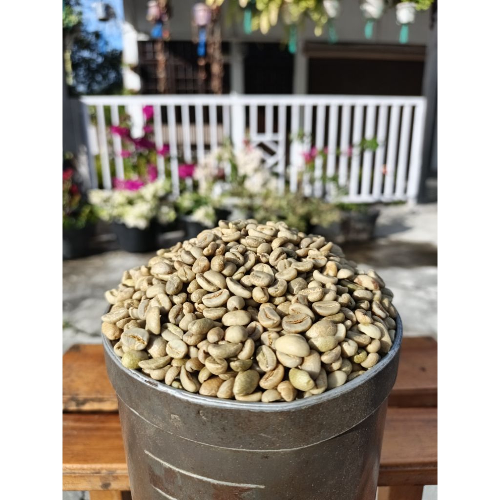 

Kopi Natural Arabica Gayo