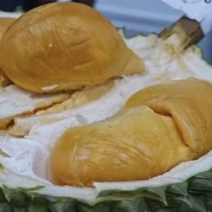 

Buah durian asli black thorn Malaysia durian utuh duri hitam | pcs