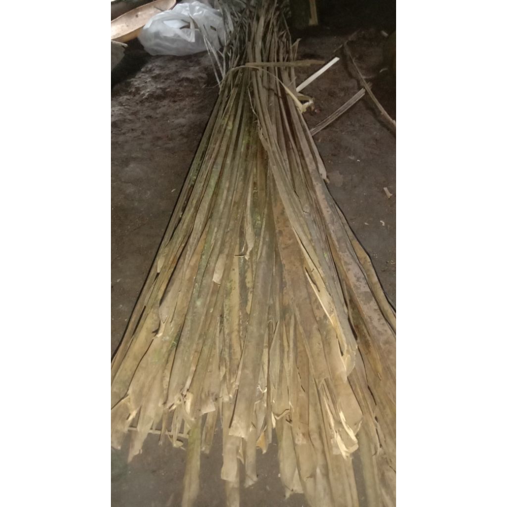 daun kelapa kering halus/kalari