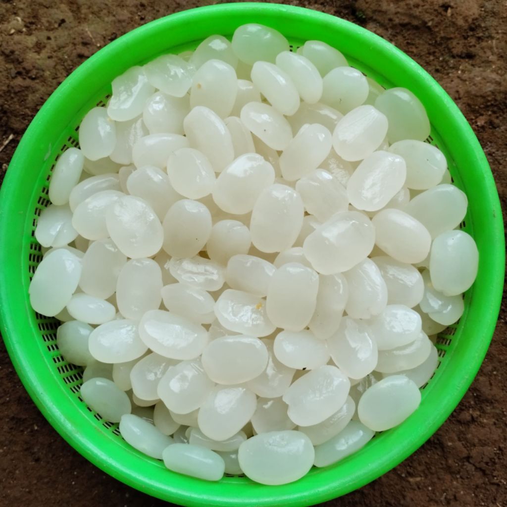 

KOLANG KALAING sudah di rendam siap langsung di olah di buat kolak/manisan, es campur, es buahh