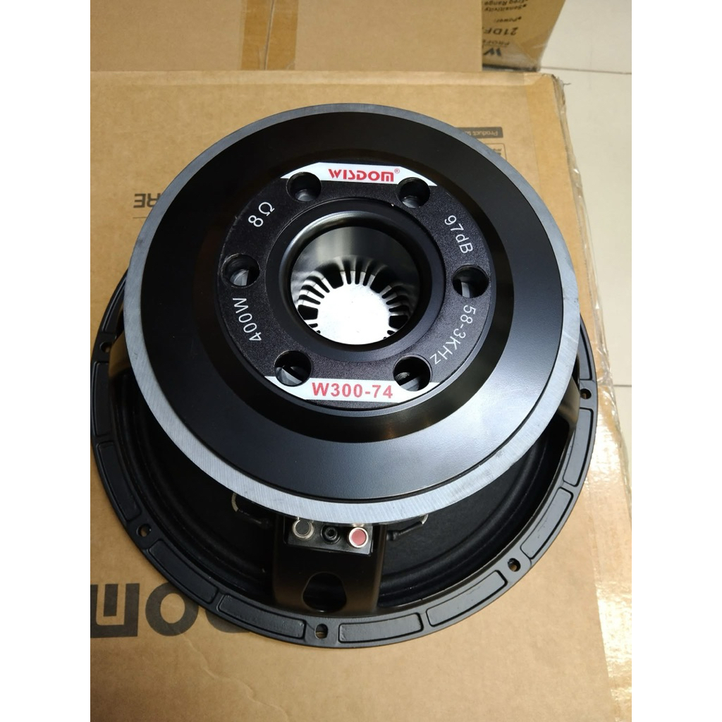 Speaker wisdom w300-74 12 inch original