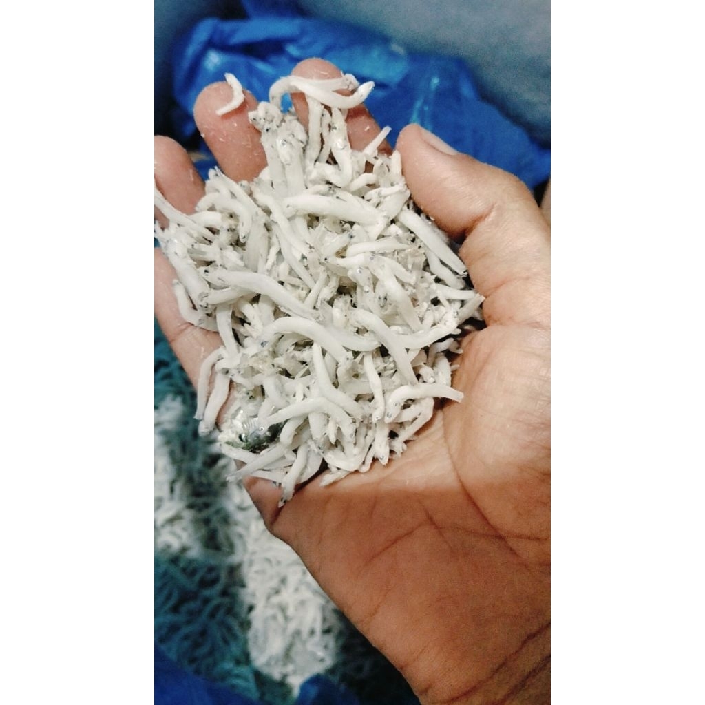 

Teri Nasi Medan 500 gram