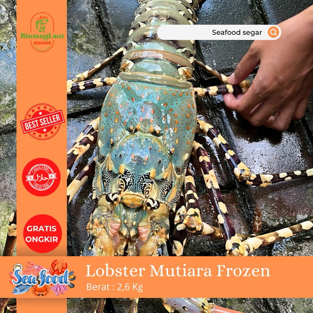 

FRESH LOBSTER / FROZEN LOBSTER MUTIARA JUMBO