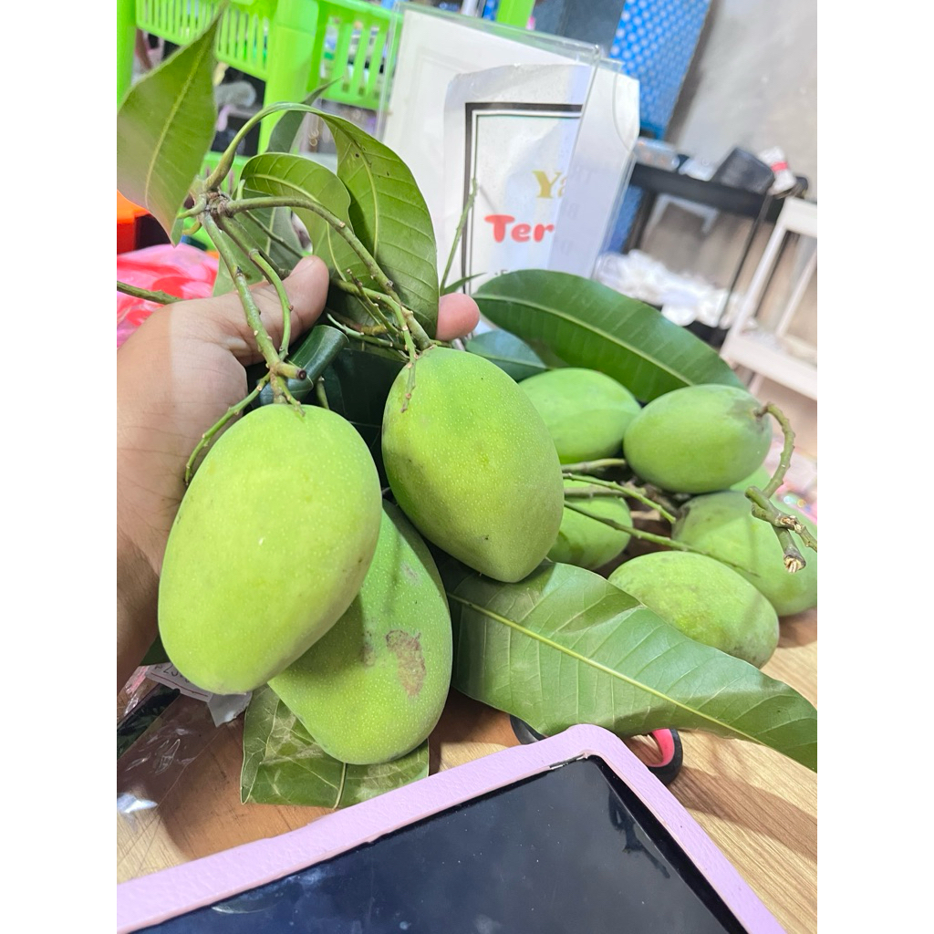 

asam balahan (mangga muda)