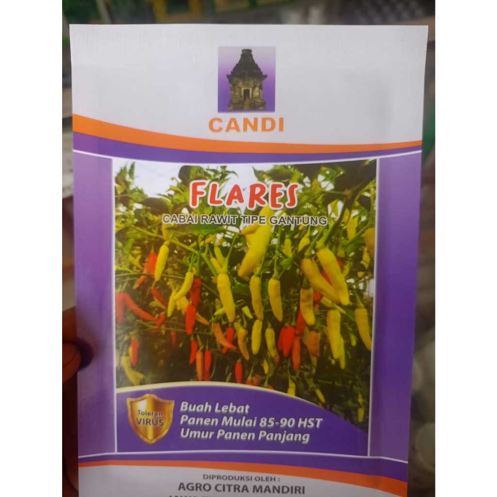 Benih Cabe Rawit Flares Candi Viral - 10 Gram