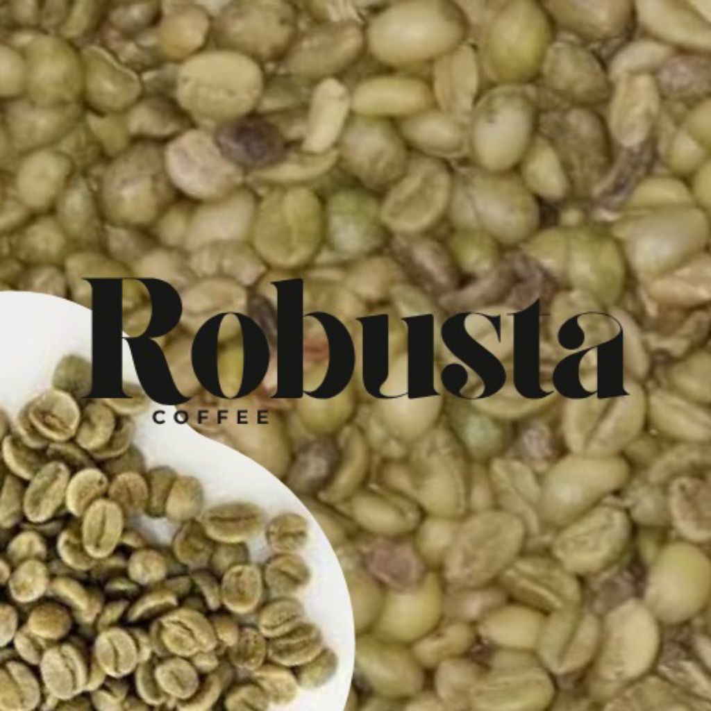 

BAHAN#BAKU#MENTAH#KOPI#ROBUSTA#PERKILO