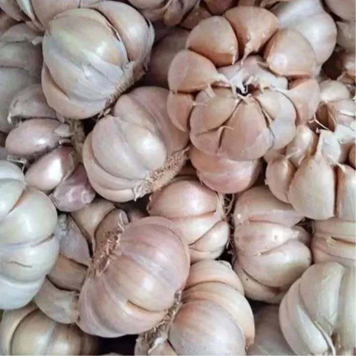

Bawang putih 1kg super fress berkualitas