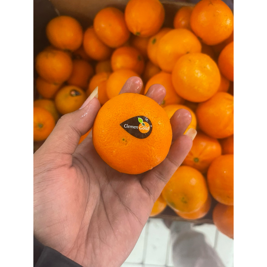

Jeruk Clemen Gold | Jeruk Clemen Import China 1 kg