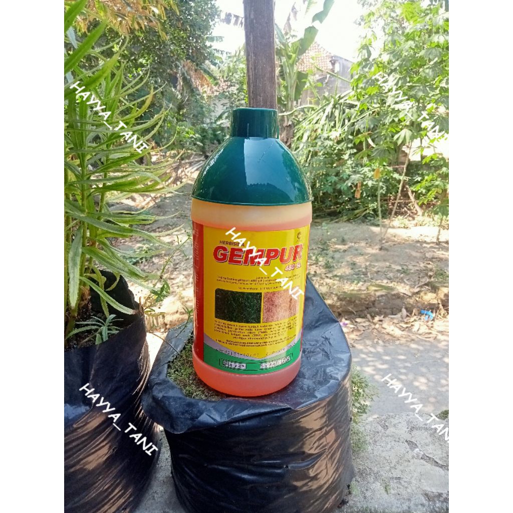 Herbisida GEMPUR 480SL