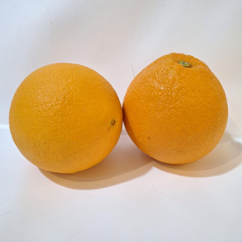 

Sunkist Valencia 1kg