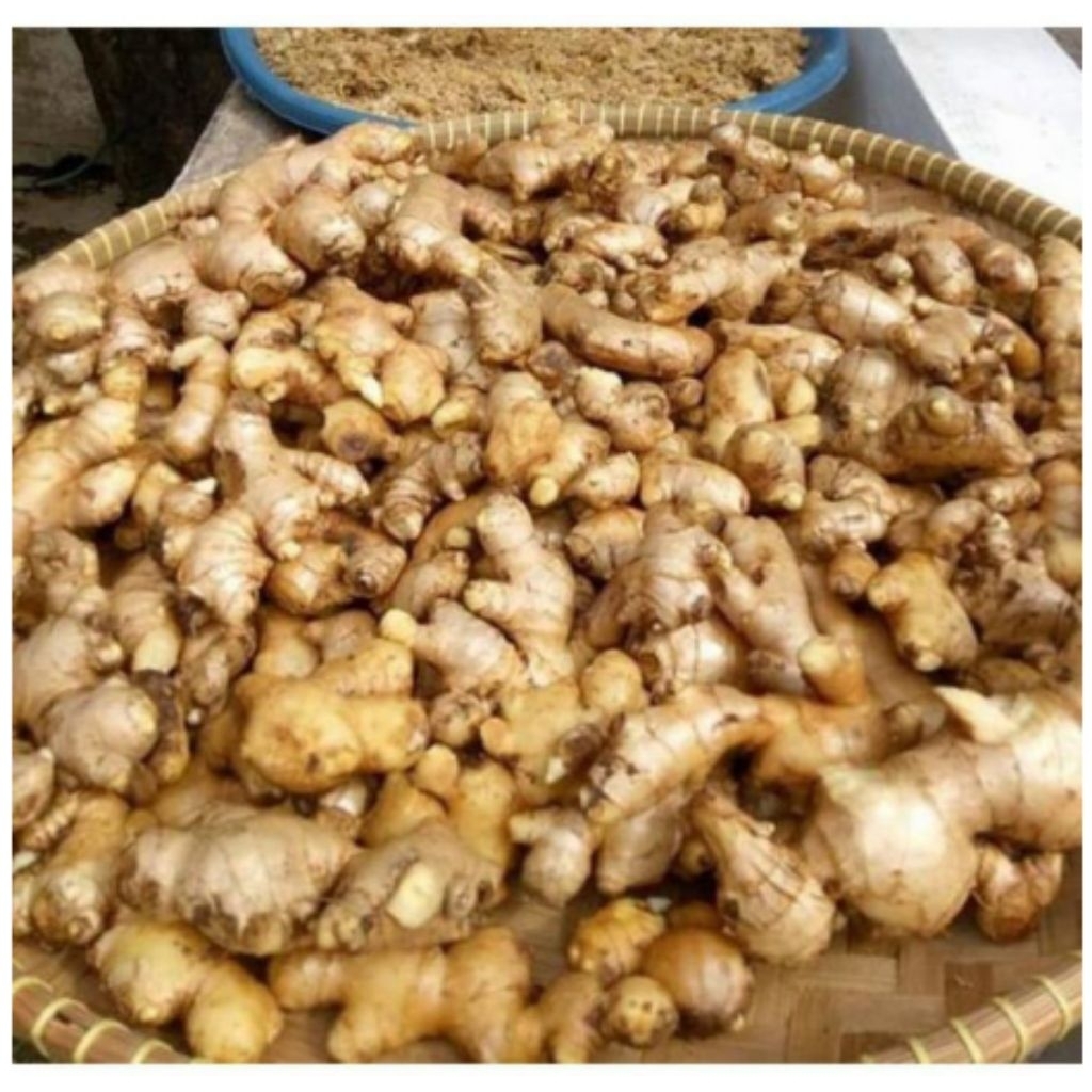 

JAHE EMPRIT SEGAR 1KG