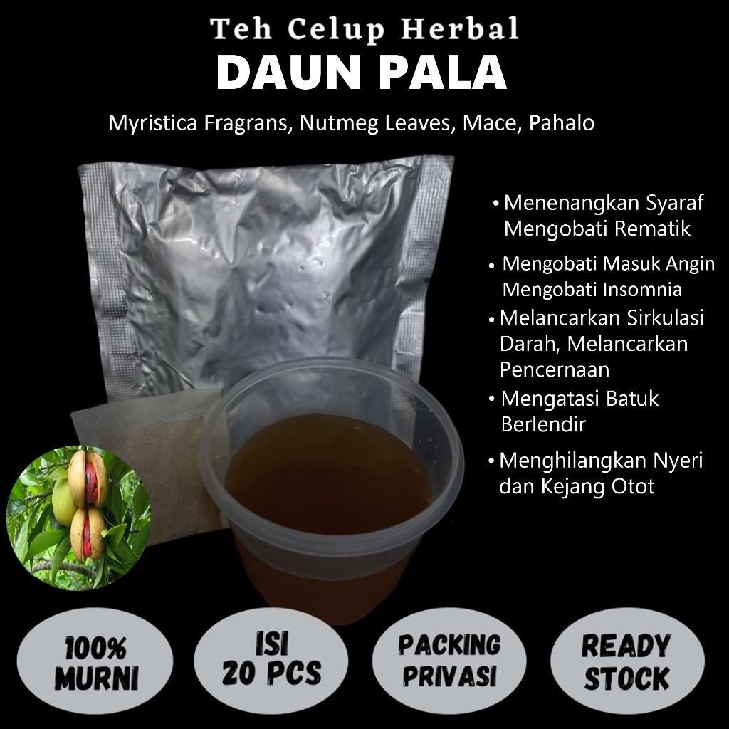 

Teh Celup Herbal DAUN PALA Mengobati Batuk Masuk Angin Rematik Nyeri dan Kejang Otot Insomnia