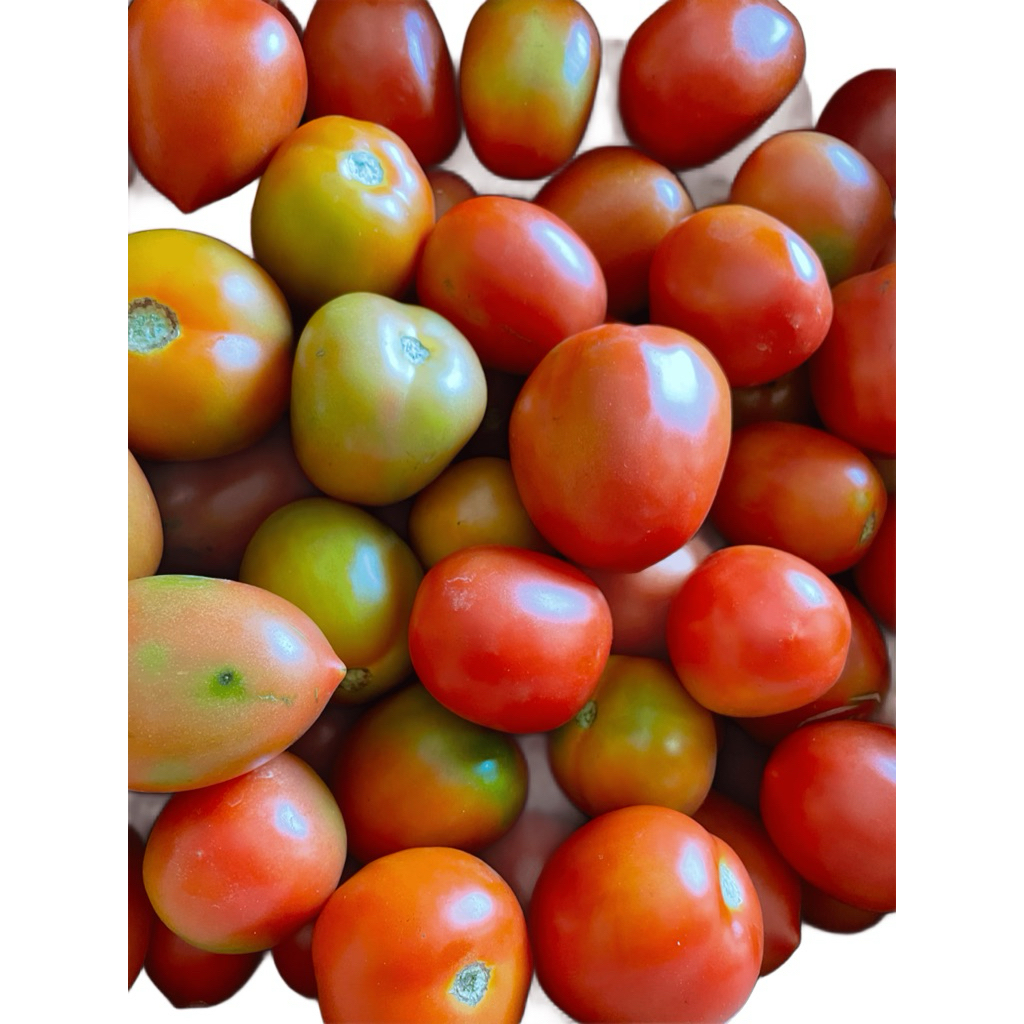 

TomatMerahSuper1kg