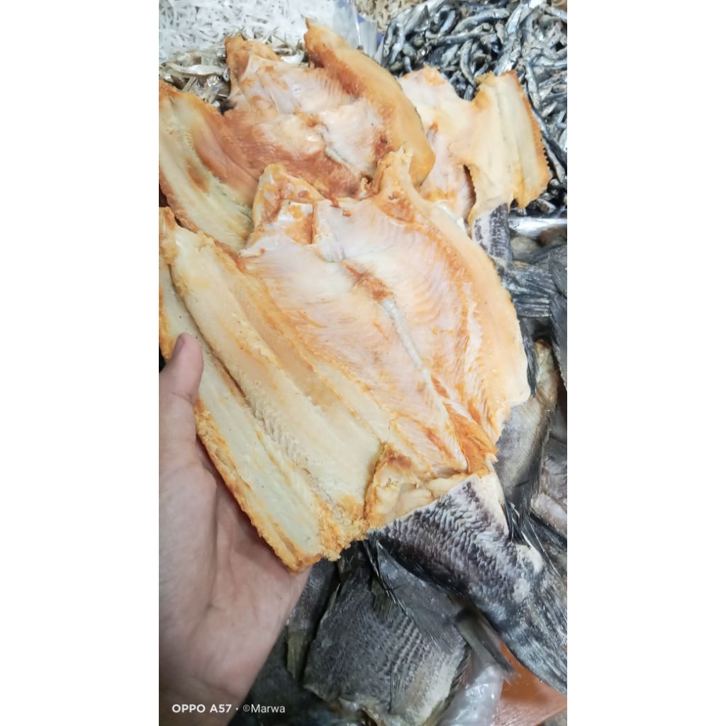 

ikan asin gabus sedang ikan asin gabus Tomang/kolam kualitas super