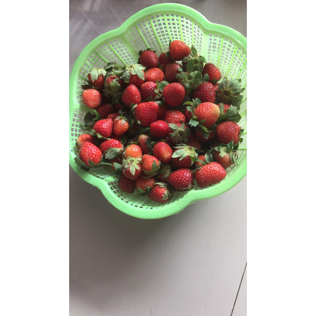 

strawberry manis mencir 1kg