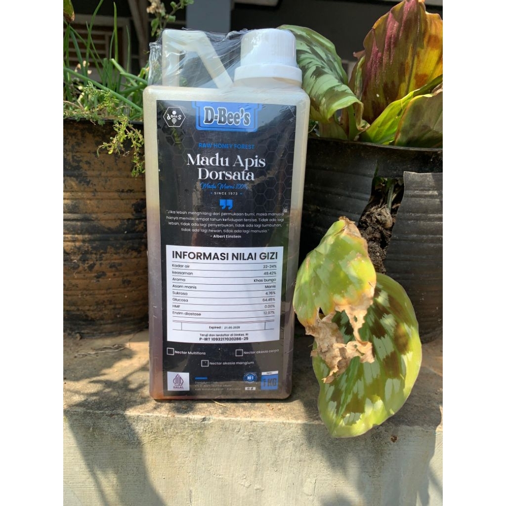 

D bees madu hutan