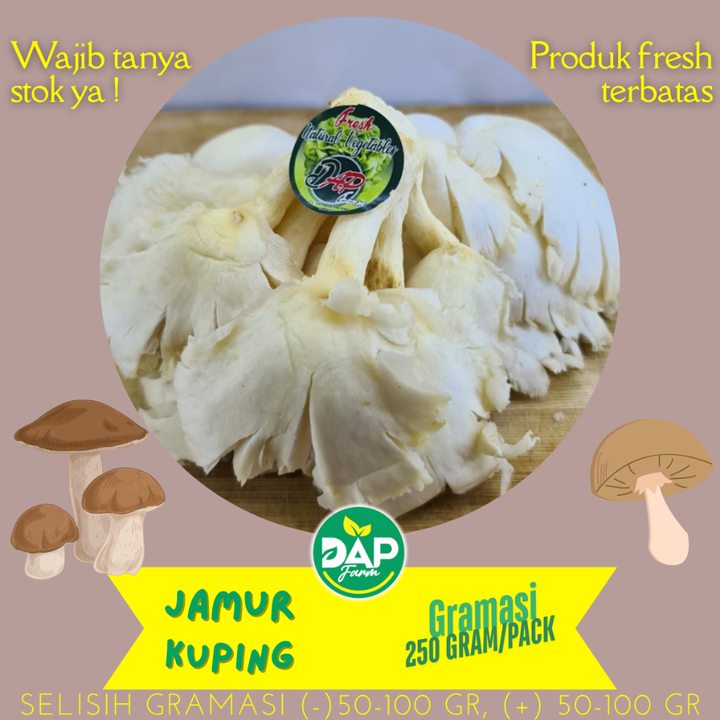 

Jamur Tiram Fresh - Sayur Segar Jakarta - DAP FARM