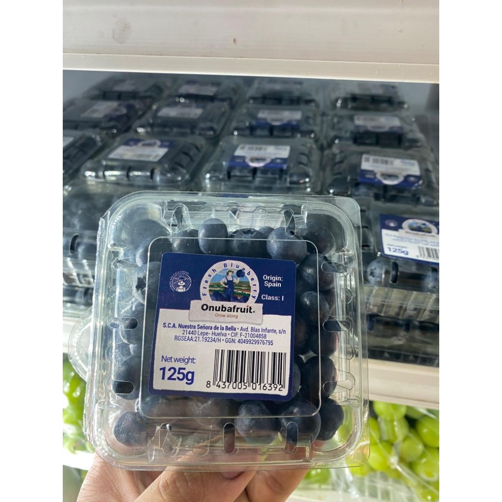 

Bluberry 125g manis segar