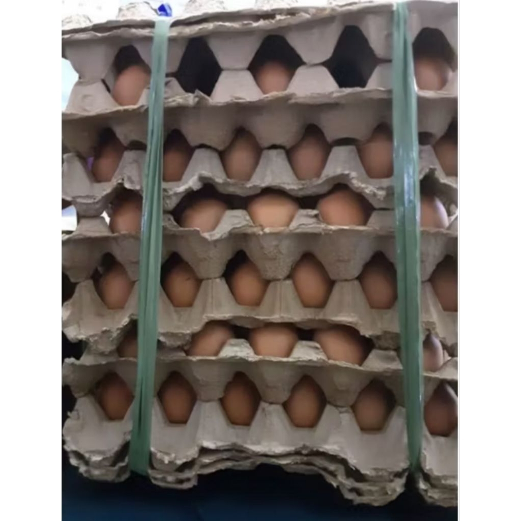 

telur ayam negeri 1 ikat 6 pireng bppn