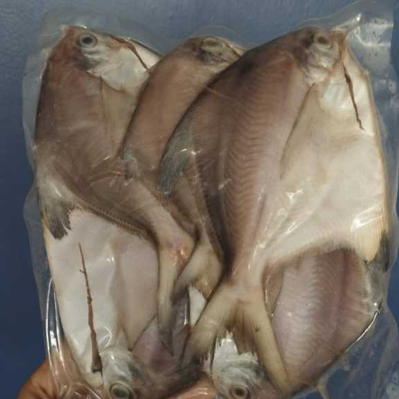 

Ikan Bawal Putih Mentah Fresh Frozen Segar
