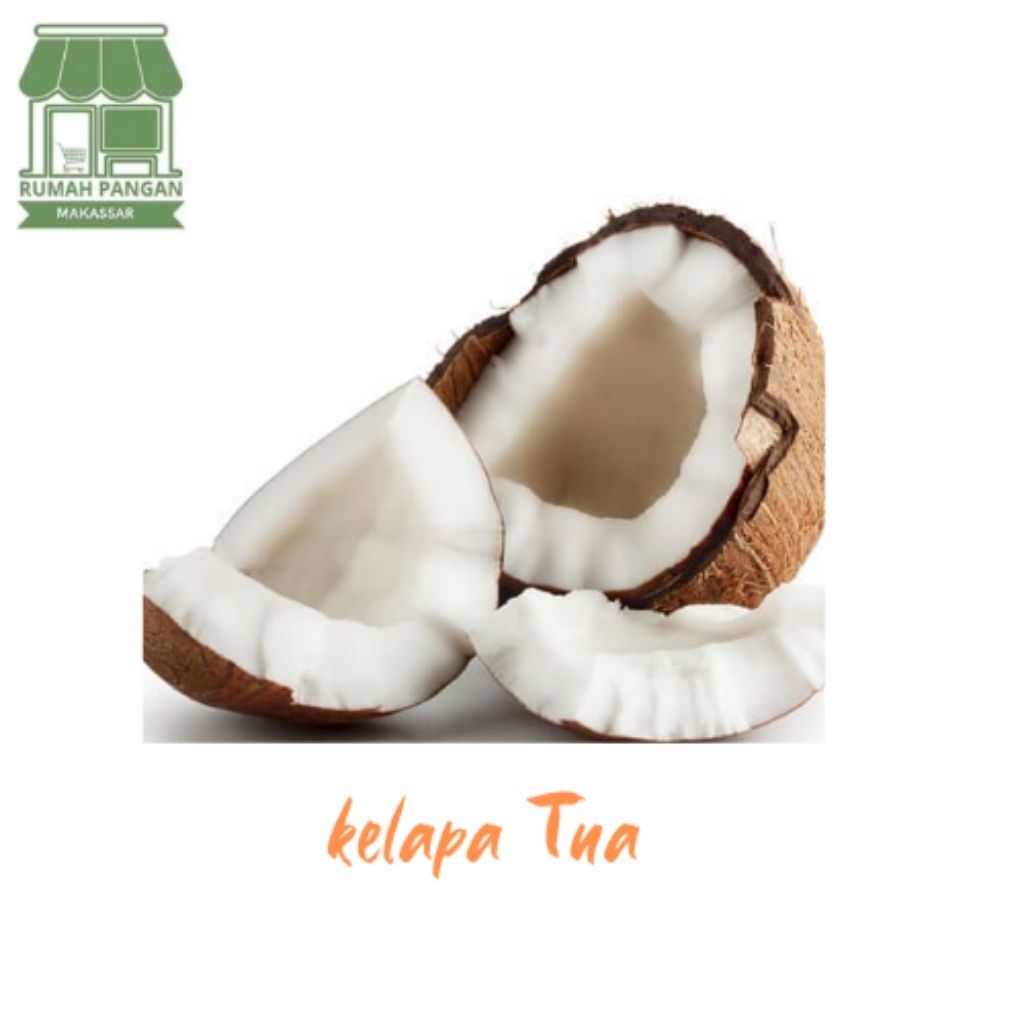 

Kelapa Tua/perbuah (Biji)