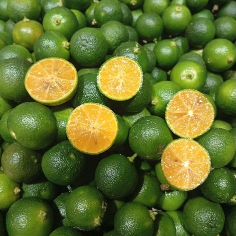 

1Kg JERUK SONKIT ( UKURAN SEDEANG ) JERUK KUNCI JERUK KASTURI FRESH