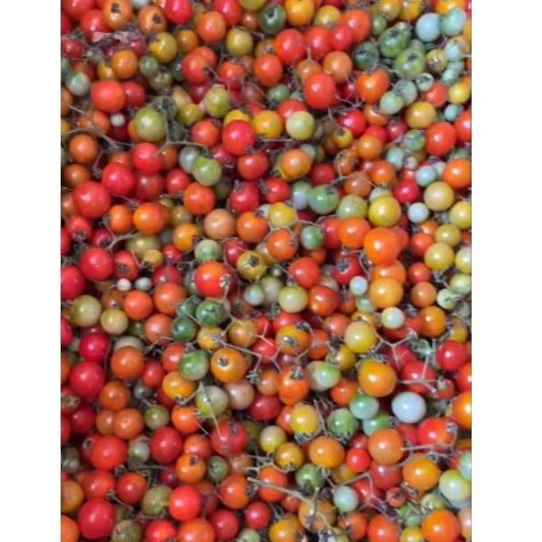 

Rampai (Cocok untuk sambal rampai)