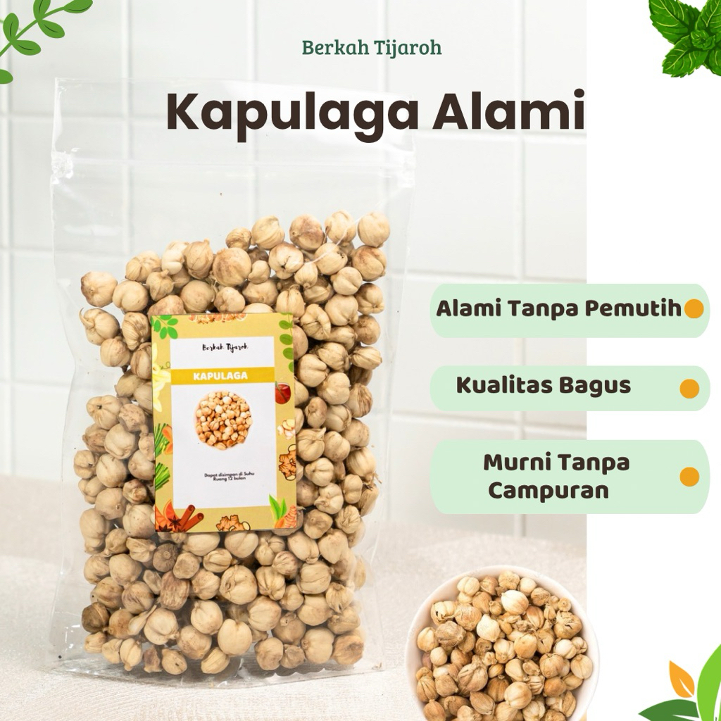 

Kapulaga Kapolaga ALAMI