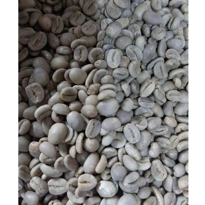 

Kopi Arabika Gayo Green Bean Natural dan Long berry Jdin Roastery 500 gr , 1 kg