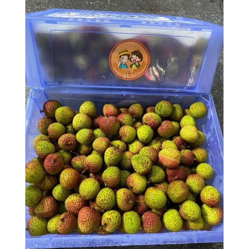 

LYCHEE MADU HIJAU FRESH / LECI MADU