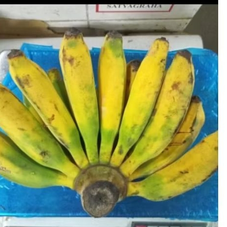 

Pisang raja bulu 1kg