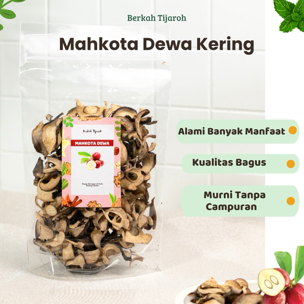 

Mahkota Dewa Kering Buah Mahkota Dewa