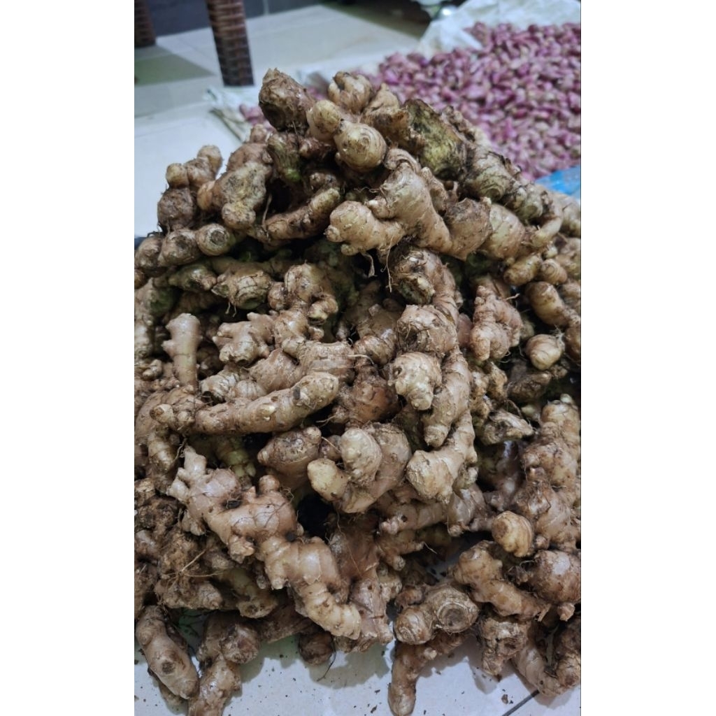 

JAHE PUTIH 500 gr asli gunung slamet