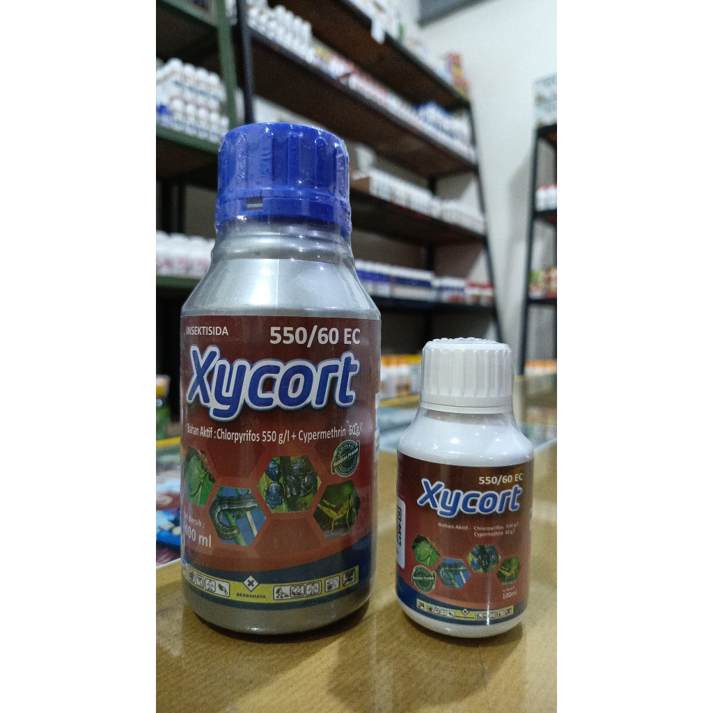 Insektisida XYCORT 550/60 EC Mengenalikan Hama