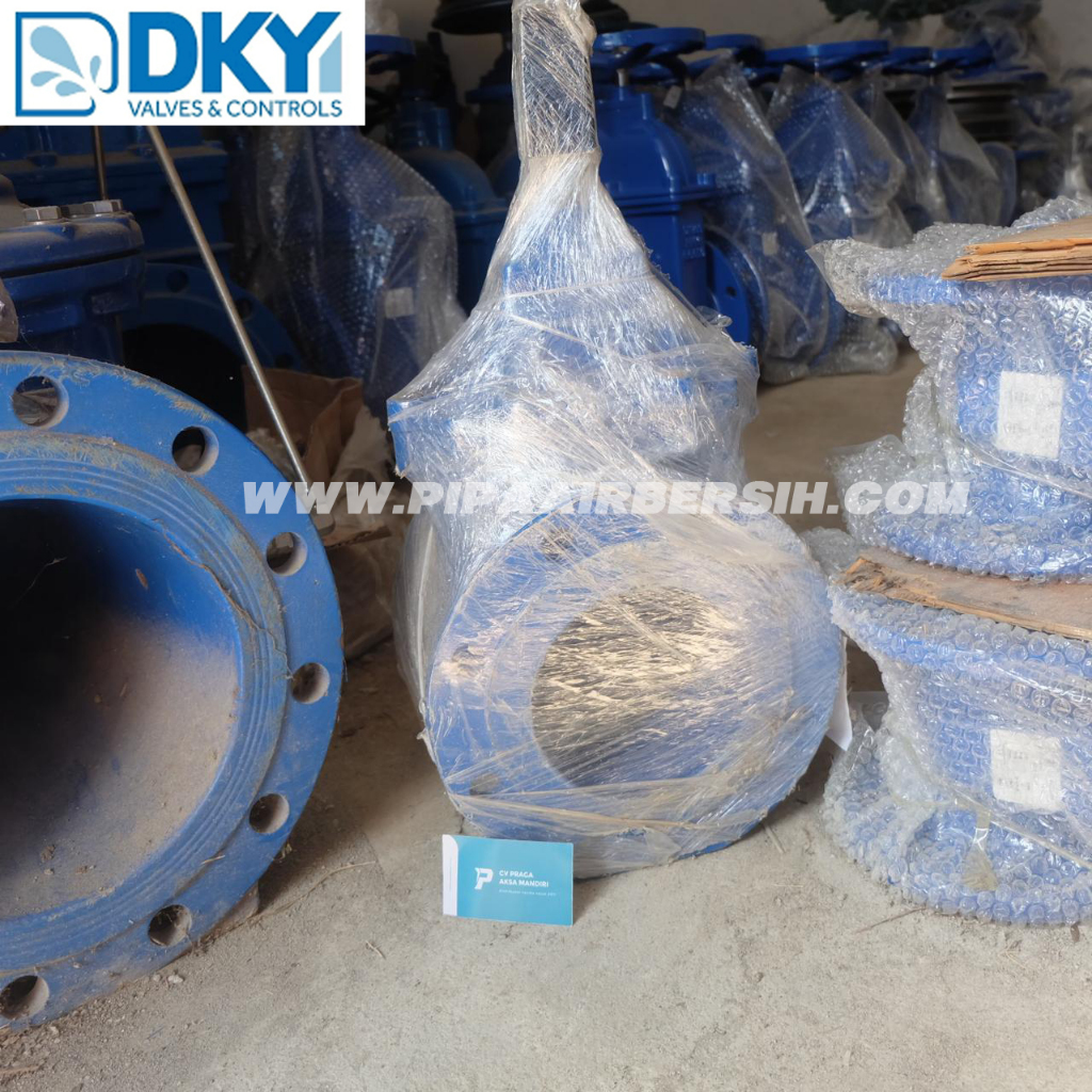 GATE VALVE DKY SIZE 6" / GATE VALVE DKY UKURAN 6 INCH