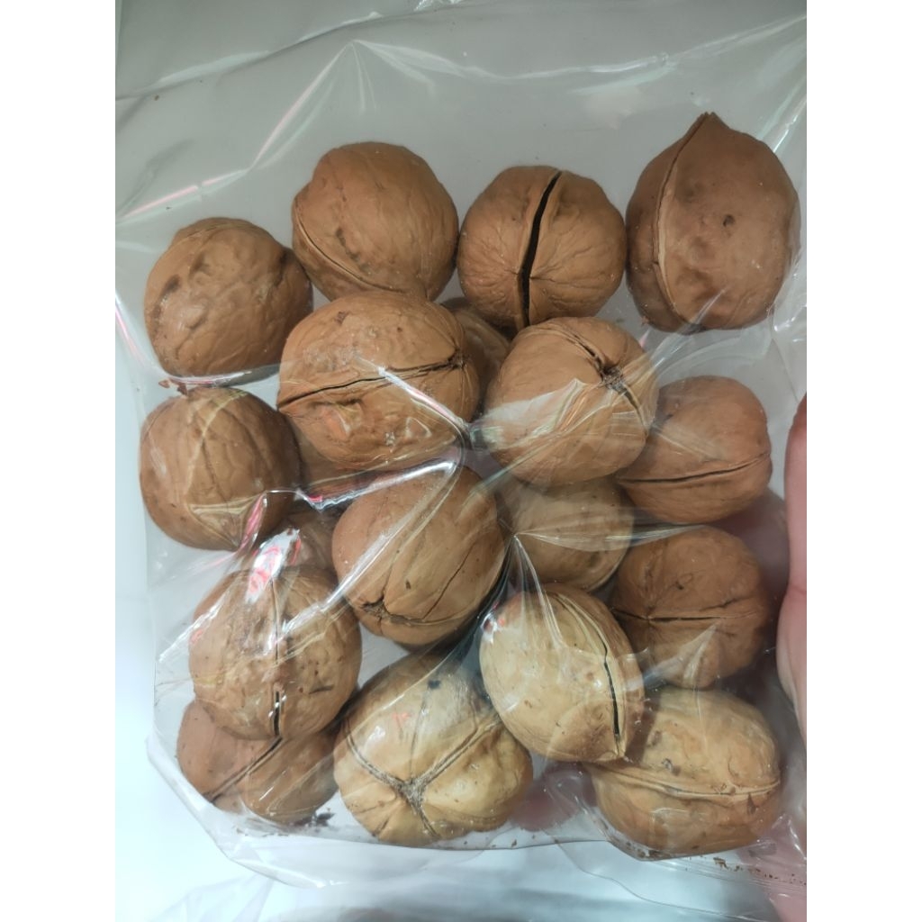 

kacang otak walnut belum kupas rasa MANIS