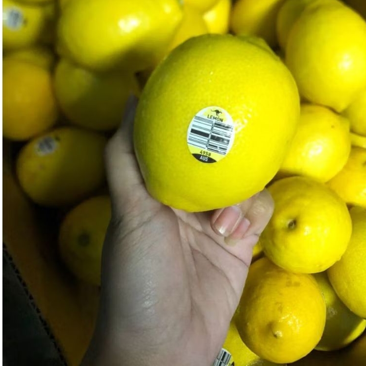 

Jeruk Lemon Australia Emu Citrus /kg