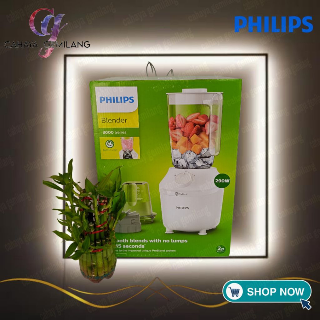 BLENDER PHILIPS 3000 SERIES