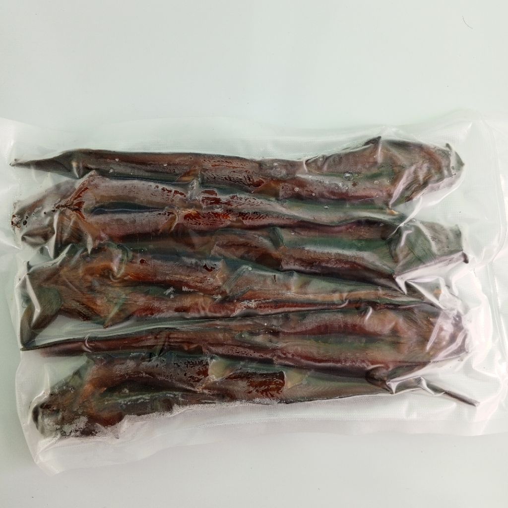 

LELE dan TONGKOL ASAP