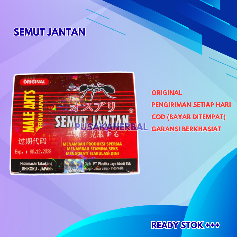 

Semut Jantan Kapsul Original