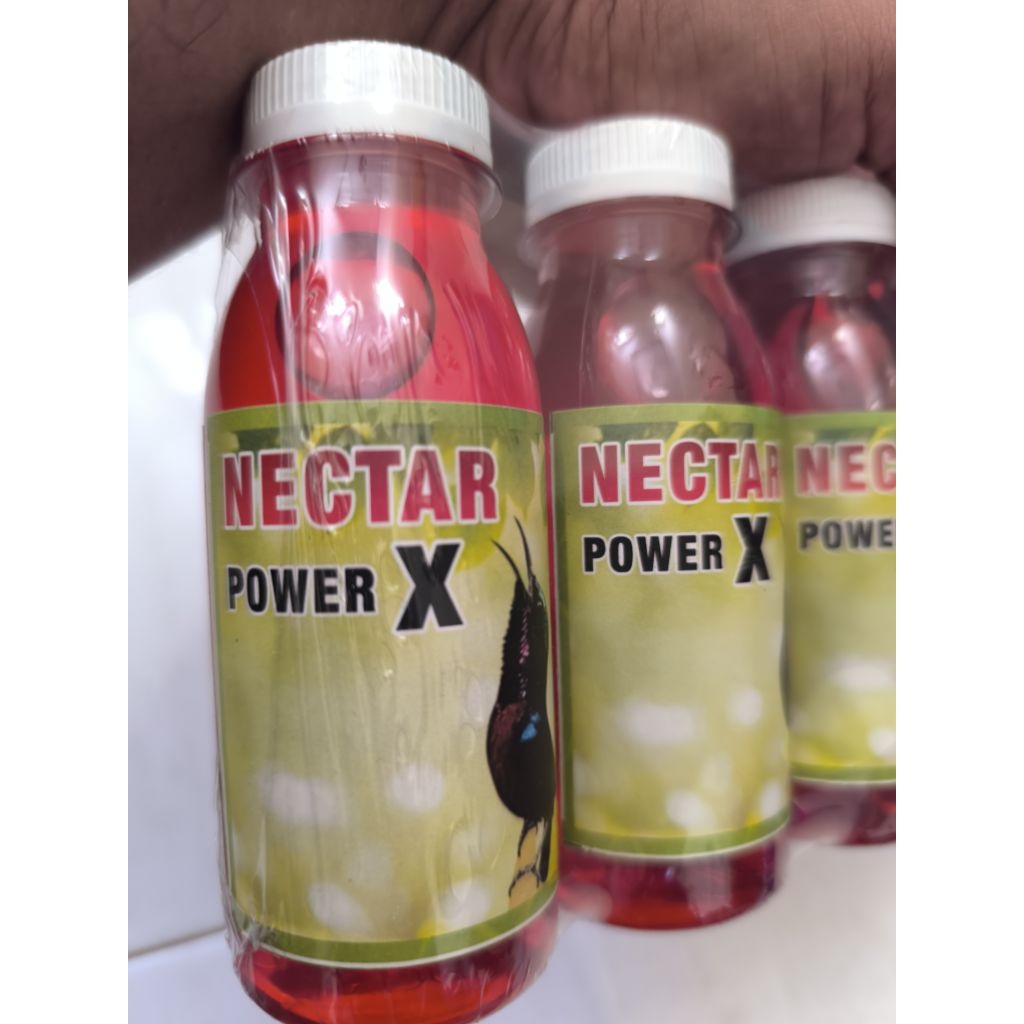 Nectar Power X merah penggacor burung kolibri dan sogon