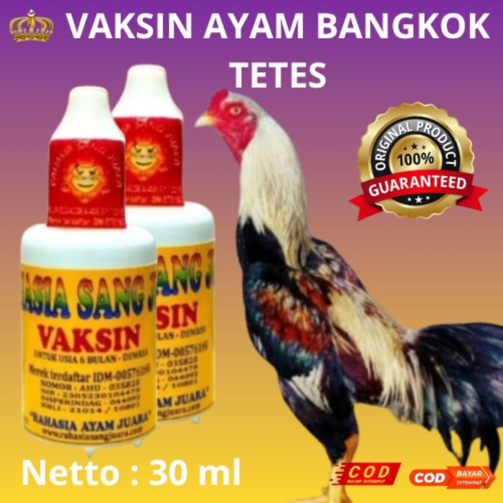VAKSIN UNTUK AYAM BANGKOK USIA 6 BULAN - DEWASA