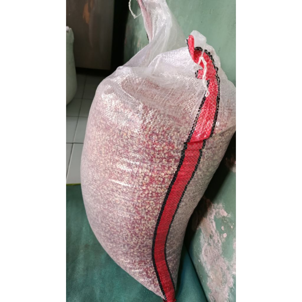 

jagung super merah cililin