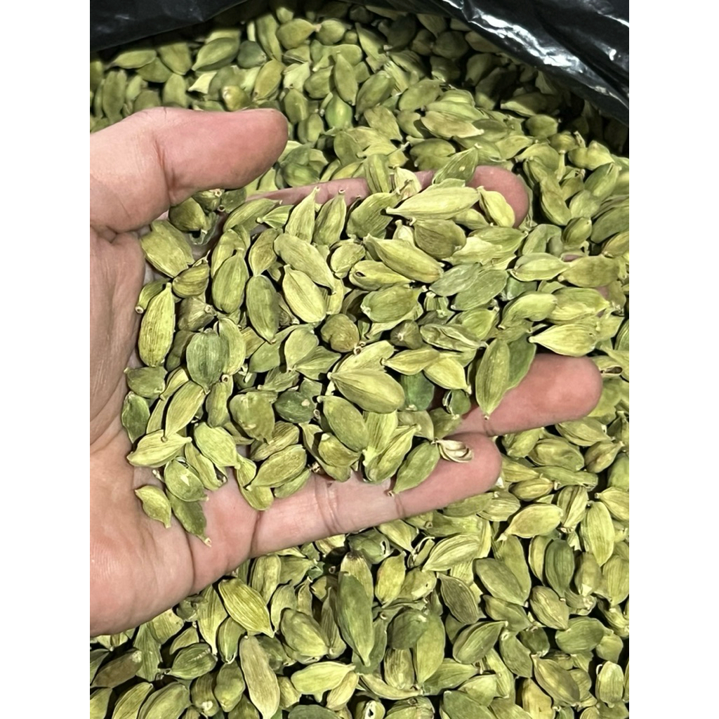 

Kapulaga Hijau Kemasan 1kg / Green Cardamom / Kapulaga Arab / Kapulaga Arab Hijau kemasan 1kg / Kapulaga Hijau / Bumbu Masakan