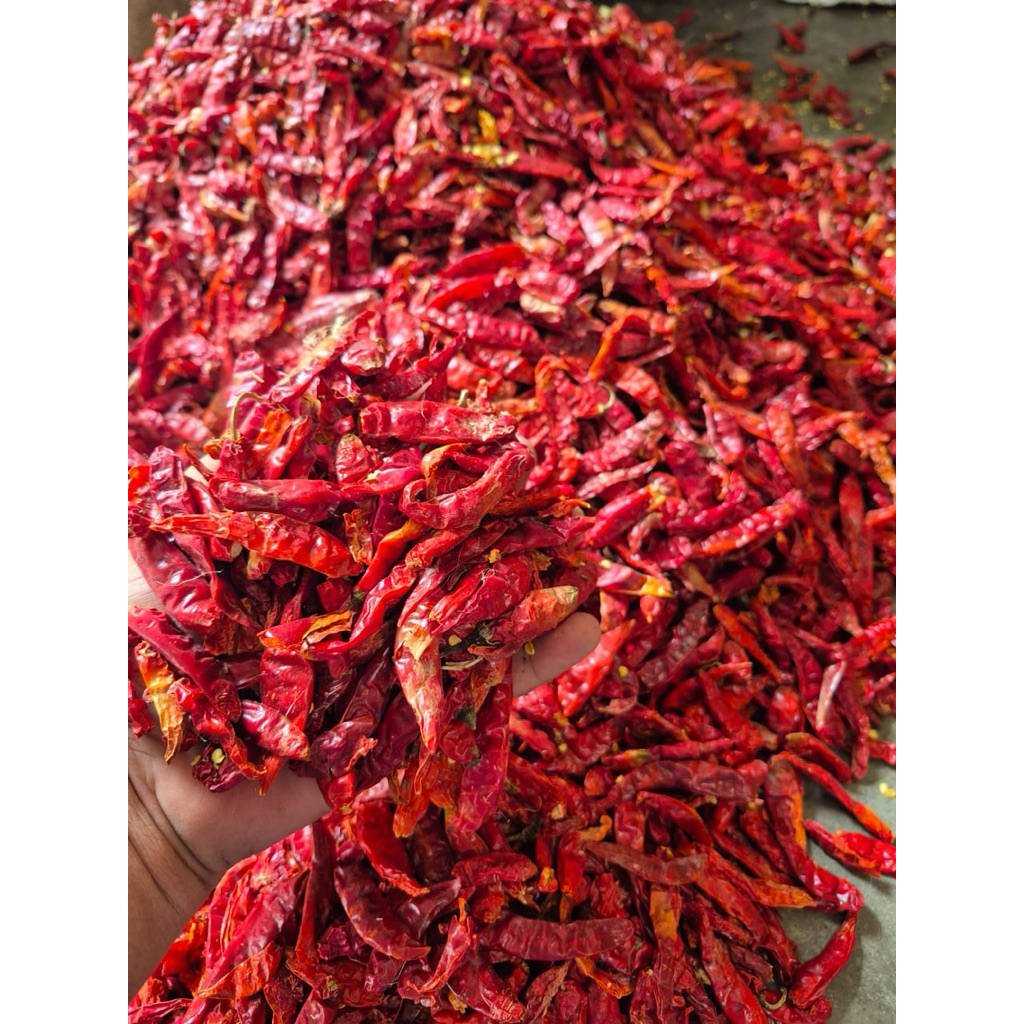 

Cabai cabe merah KERING TEJA SUPER 1 Sak Karung Ball 10kg