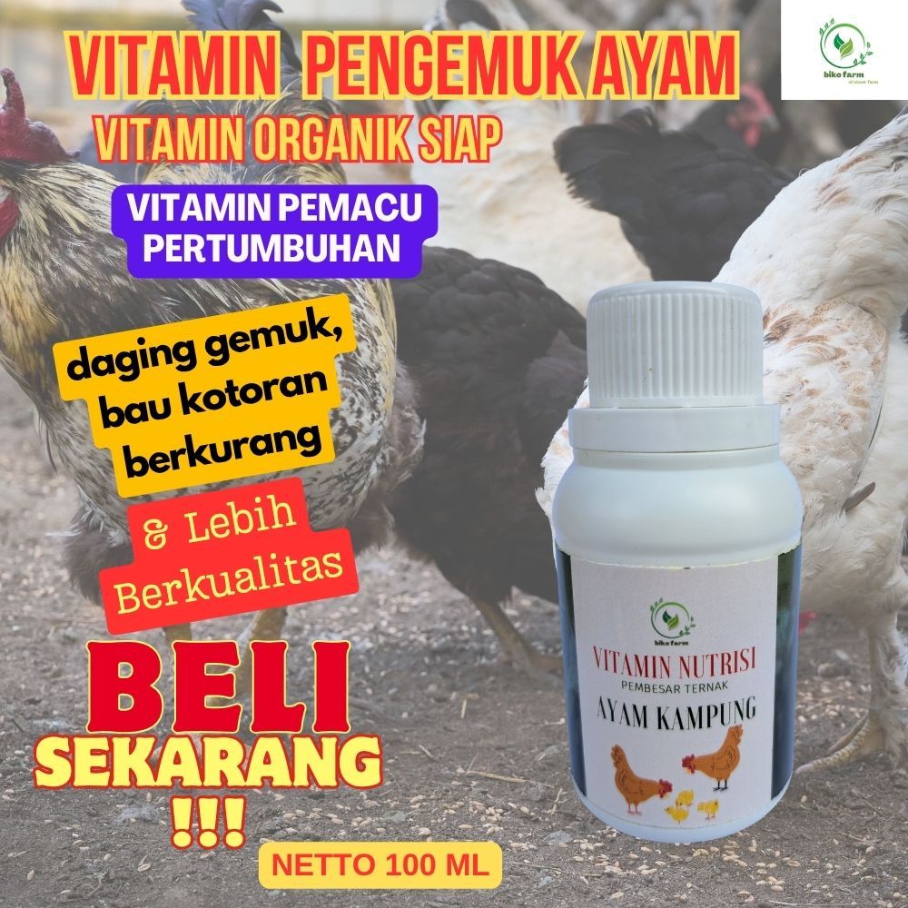 Vitamin Organik Cair Pengemuk Ternak Ayam Kampung. Vitamin Organik Cair Menyehatkan Ayam kampung