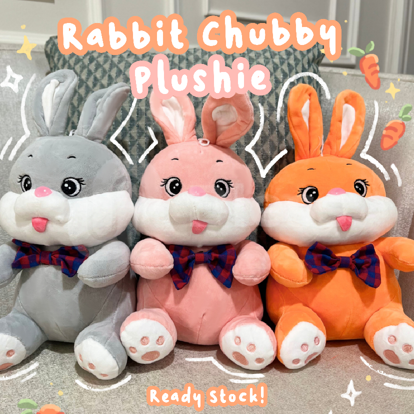 Boneka Rabbit Chubby Bless toys boneka karakter boneka lucu boneka aestetic boneka hewan