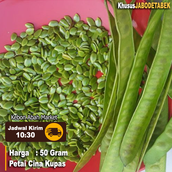 

Petai Cina Kupas 50 Gram Panen Dadakan Untuk Masakan Buntil Urap Sambal Pete