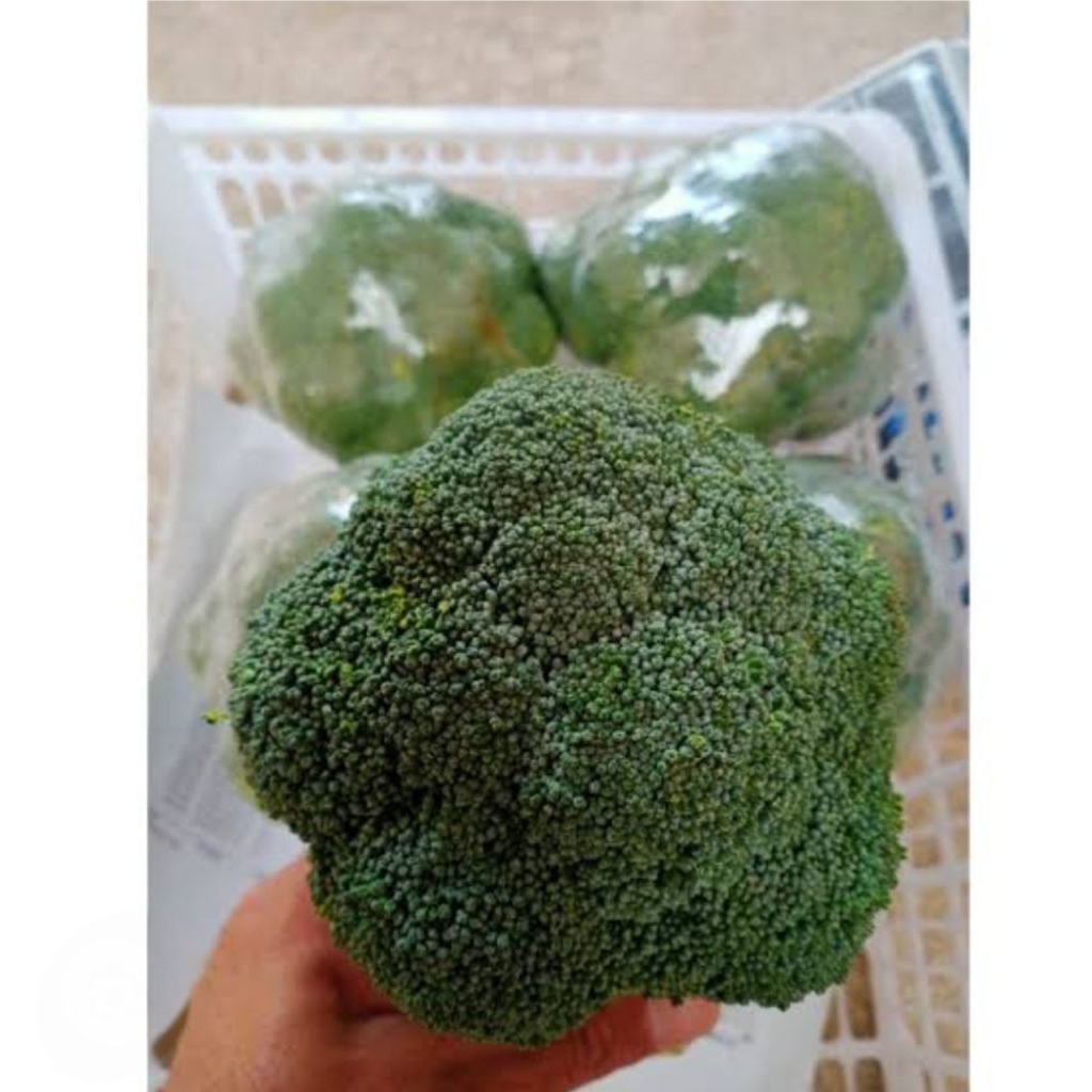 

Brokoli Import Fresh 500gram